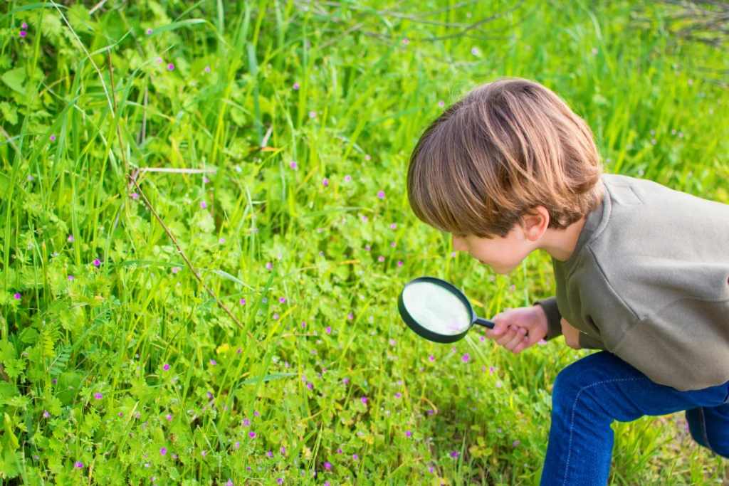 A young boy crouches in the grass outdoors, closely examining small plants and flowers with a magnifying glass—a wonderful example of creative outdoor learning ideas.