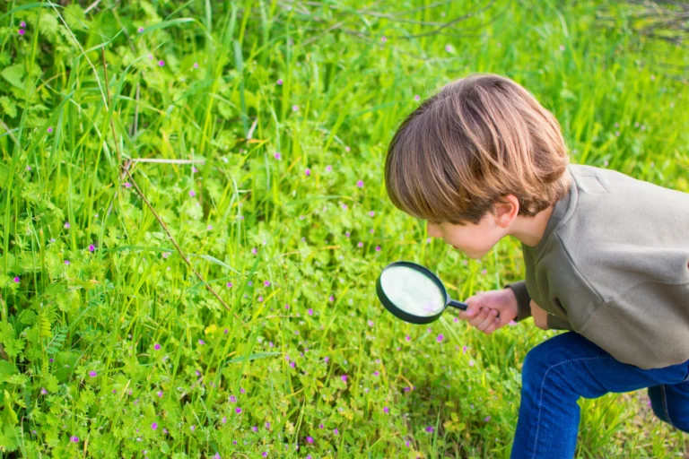 A young boy crouches in grass, holding a magnifying glass and closely examining small plants and flowers on a sunny day—an inspiring example of outdoor learning ideas in action.