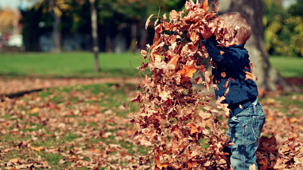 A young child in a blue sweater and jeans plays outside, tossing a pile of dry autumn leaves into the air. The ground is covered with fallen leaves, and green grass and trees are visible in the background.
